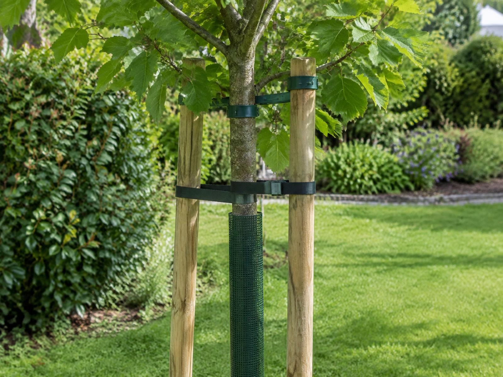 Accessoires — Tuteurage et protection des arbres